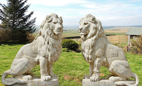 Bức tượng cặp đôi sư tử hộ vệ khổng lồ đang ngồi.