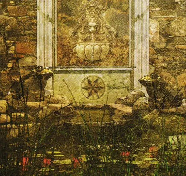 Hình ảnh hai con cóc ngồi bên cạnh hồ bơi trong lá bài Queen Of Coins Tyldwick Tarot - Hoàng Hậu Xu trong Tyldwick Tarot 