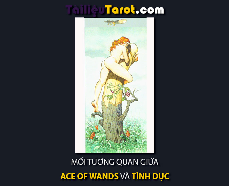 Mối tương quan giữa lá bài Ace Of Wands và Tình Dục