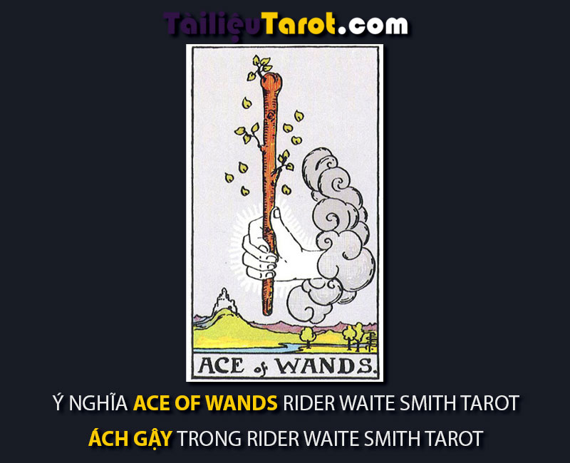 Ý nghĩa Ace of Wands Rider Waite Smith Tarot - Ách Gậy trong Rider Waite Smith Tarot